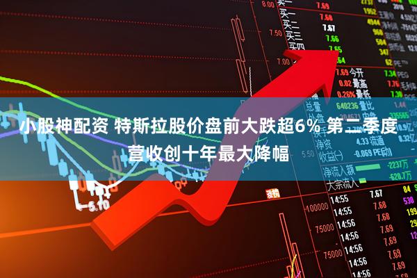 小股神配资 特斯拉股价盘前大跌超6% 第二季度营收创十年最大降幅